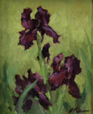 Irises Elizabeth Robbins